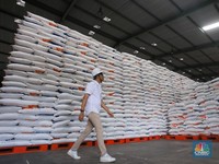 Intip Penampakan Stok Beras Menggunung di Gudang Bulog Jakarta