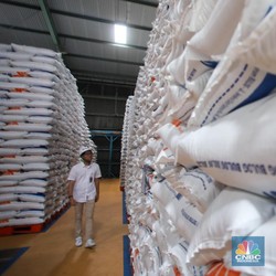 Target Stok Cadangan Beras Pemerintah Dinaikkan Jadi 2,5 Juta Ton