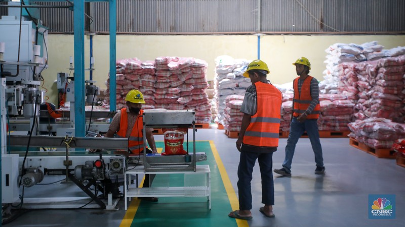 Pekerja memeriksa cadangan beras pemerintah (CBP) di Gudang Bulog, Kelapa Gading, Jakarta Utara, Senin (4/11/2024). Pekerja memeriksa cadangan beras pemerintah (CBP) di Gudang Bulog, Kelapa Gading, Jakarta Utara, Senin (4/11/2024). (CNBC Indonesia/Faisal Rahman)