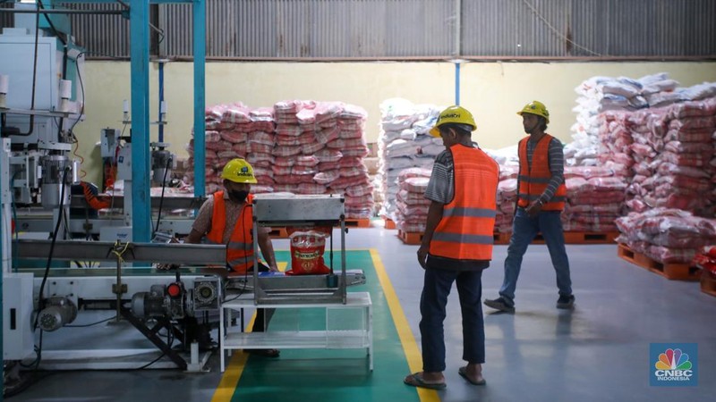 Pekerja memeriksa cadangan beras pemerintah (CBP) di Gudang Bulog, Kelapa Gading, Jakarta Utara, Senin (4/11/2024). (CNBC Indonesia/Faisal Rahman)