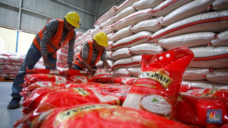 Pekerja memeriksa cadangan beras pemerintah (CBP) di Gudang Bulog, Kelapa Gading, Jakarta Utara, Senin (4/11/2024). (CNBC Indonesia/Faisal Rahman)