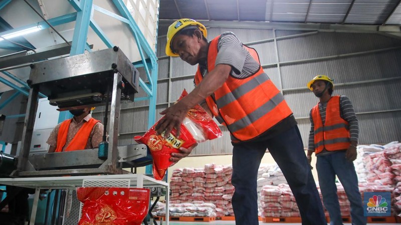 Pekerja memeriksa cadangan beras pemerintah (CBP) di Gudang Bulog, Kelapa Gading, Jakarta Utara, Senin (4/11/2024). (CNBC Indonesia/Faisal Rahman)