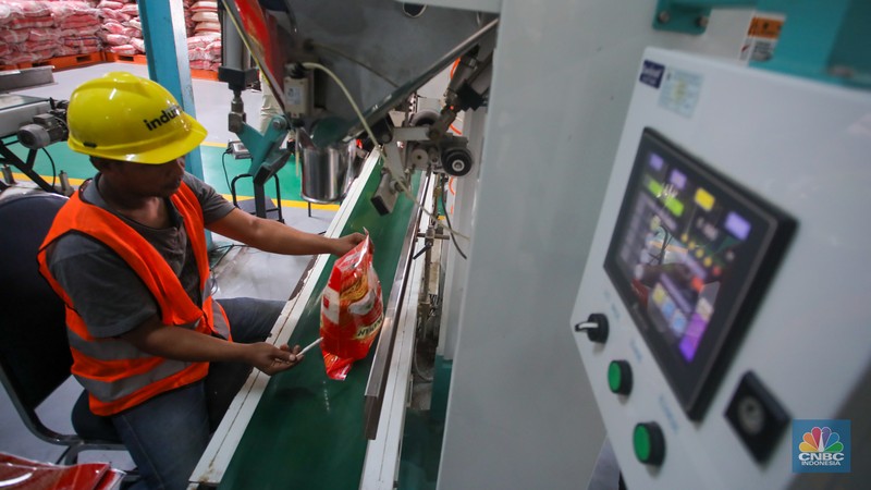 Pekerja memeriksa cadangan beras pemerintah (CBP) di Gudang Bulog, Kelapa Gading, Jakarta Utara, Senin (4/11/2024). Pekerja memeriksa cadangan beras pemerintah (CBP) di Gudang Bulog, Kelapa Gading, Jakarta Utara, Senin (4/11/2024). (CNBC Indonesia/Faisal Rahman)