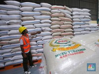 Tak Lagi Bikin Dag Dig Dug, Stok Beras Bulog Mau Tembus 2 Juta Ton