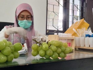 Pemkot Pasuruan Pastikan Anggur Muscat di Wilayahnya Aman Dikonsumsi
