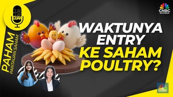 Waktunya Entry Ke Saham Poultry?