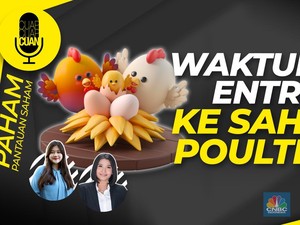 Waktunya Entry Ke Saham Poultry?
