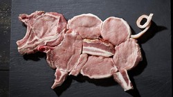 Tidak Sengaja Memakan Babi, Apakah Perlu Sholat Taubat?