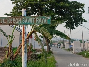 Cerita Ketua RT Saat Densus Tangkap Terduga Teroris di Demak