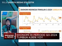 Video: Lapor Pak Prabowo, Ekonomi RI Q3-2024 Tumbuh 4,95% (yoy)