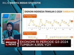 Video: Lapor Pak Prabowo, Ekonomi RI Q3-2024 Tumbuh 4,95% (yoy)