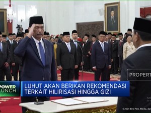  Menjadi Ketua DEN, Ini Tugas Yang Akan Diemban Luhut