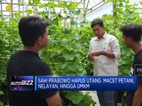 Video: Prabowo Hapus Utang Macet Petani, Nelayan hingga UMKM