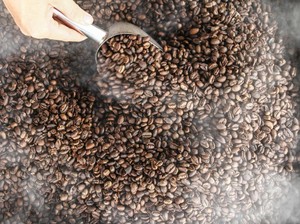 Keren! Ini 8 Jenis Kopi Indonesia yang Mendunia