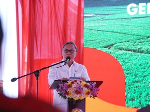 Alur Distribusi Pupuk Subsidi Dipangkas Mulai Januari 2025