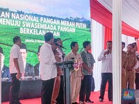 Keras! Mentan Amran Minta Dirut Pupuk Indonesia Segera Pecat Anak Buah