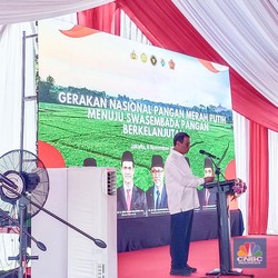 Panggil Kepala Desa, Mentan Amran Selidiki Penyaluran Pupuk Subsidi