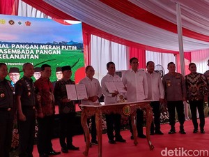 Mentan Minta Manajer Pupuk Dicopot Imbas Penyaluran Bermasalah