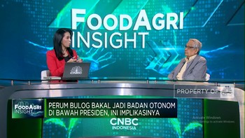 Video: Bulog Jadi Badan Otonom, Apa Efek ke Petani & Produksi Pangan?