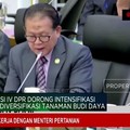 Video: Komisi IV DPR Ingatkan Kementan Soal 