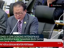 Video: Komisi IV DPR Ingatkan Kementan Soal "Kegagalan" Food Estate