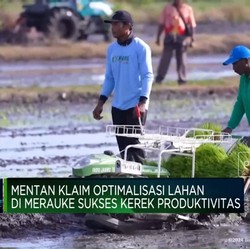 Video: Mentan Klaim Optimalisasi Lahan di Merauke Kerek Produksi Beras