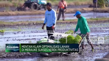 Video: Mentan Klaim Optimalisasi Lahan di Merauke Kerek Produksi Beras