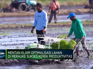 Video: Mentan Klaim Optimalisasi Lahan di Merauke Kerek Produksi Beras