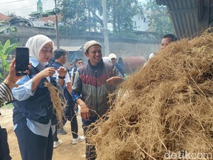 Strategi Putri Karlina Maksimalkan Potensi Akar Wangi Garut