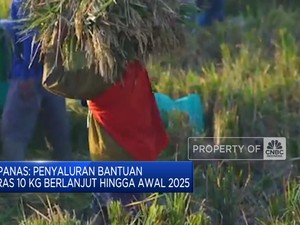  Penyaluran Bantuan Beras 10 Kg Berlanjut Hingga Awal 2025