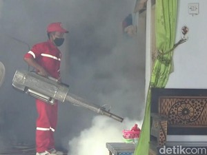 11 Bulan, Pasien DBD di Lumajang yang Meninggal 11 Orang