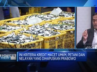 Video: Pemerintah Hapus Utang Nelayan-MKM, Waspada Moral Hazard