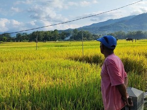 Respons Petani-Pelaku UMKM Trenggalek Soal Penghapusan Utang Macet