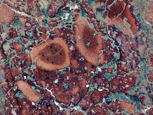 NASA Temukan Bintik Hijau Aneh di Planet Mars, Ilmuwan Bingung