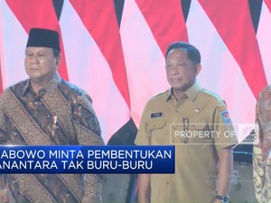  Prabowo Minta Pembentukan Danantara Tak Buru-Buru