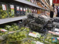 Anggur Muscat Murah Banget dari Transmart Full Day Sale