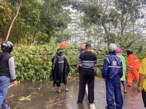 Hujan Angin Terjang 2 Kecamatan di Bondowoso, Puluhan Rumah Rusak
