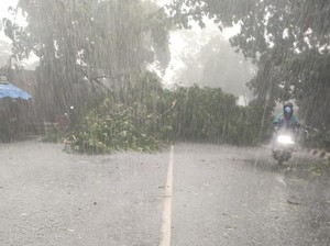 Hujan dan Angin Kencang Terjang Cimahi, Jalan Banjir-Pohon Tumbang