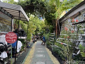 Cerita Kampoeng Wisata Oase Ondomohen Surabaya Ubah Sampah Jadi Berkah