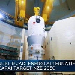 Kembangkan PLTN di RI, Thorcon Siapkan Investasi Rp 17 T