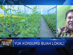 Video: Aturan Jadi "Biang Kerok" Buah Indonesia Kalah Dari Malaysia Cs