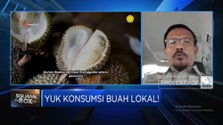 Video: Genjot Ekspor Durian-Mangga, Kementan Kembangkan Kampung Buah