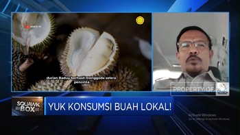 Video: Genjot Ekspor Durian-Mangga, Kementan Kembangkan Kampung Buah
