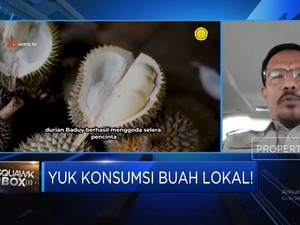 Video: Genjot Ekspor Durian-Mangga, Kementan Kembangkan Kampung Buah