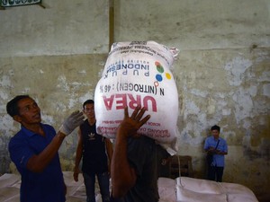 10 Juta Ton Pasokan Pupuk Dunia Hilang Imbas Selat Hormuz Ditutup, RI Aman?