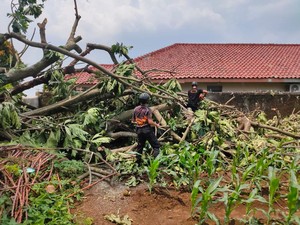 33 Rumah Rusak Akibat Hujan-Angin Kencang di Bogor, 1 Keluarga Mengungsi
