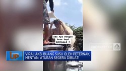 Viral Aksi Buang Susu Oleh Peternak, Mentan: Aturan Segera Dibuat!