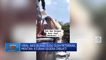Viral Aksi Buang Susu Oleh Peternak, Mentan: Aturan Segera Dibuat!