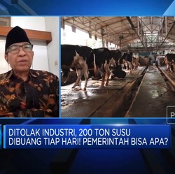 Video: Biang Kerok 200 Ton Susu Lokal Tiap Hari Ditolak Industri
