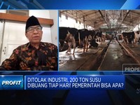 Video: Biang Kerok 200 Ton Susu Lokal Tiap Hari Ditolak Industri